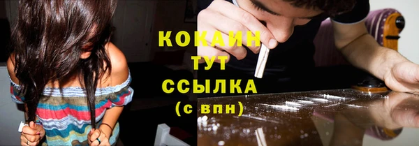 mix Бородино