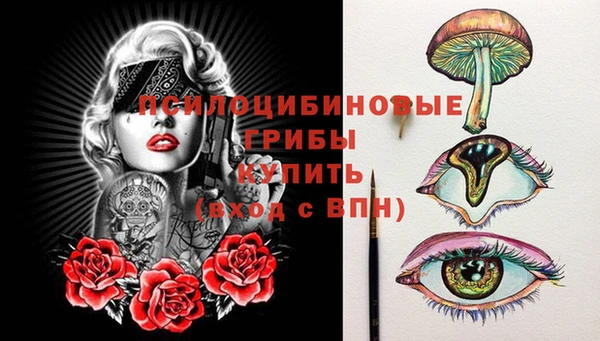 мяу мяу мука Сосновка