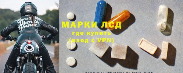 сатива Сосновоборск