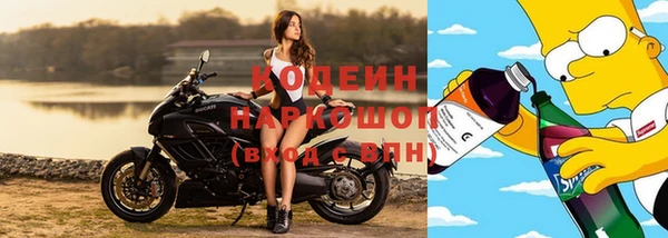 сатива Сосновоборск