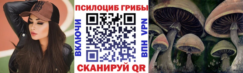 Галлюциногенные грибы Psilocybe  hydra сайт  Оса 